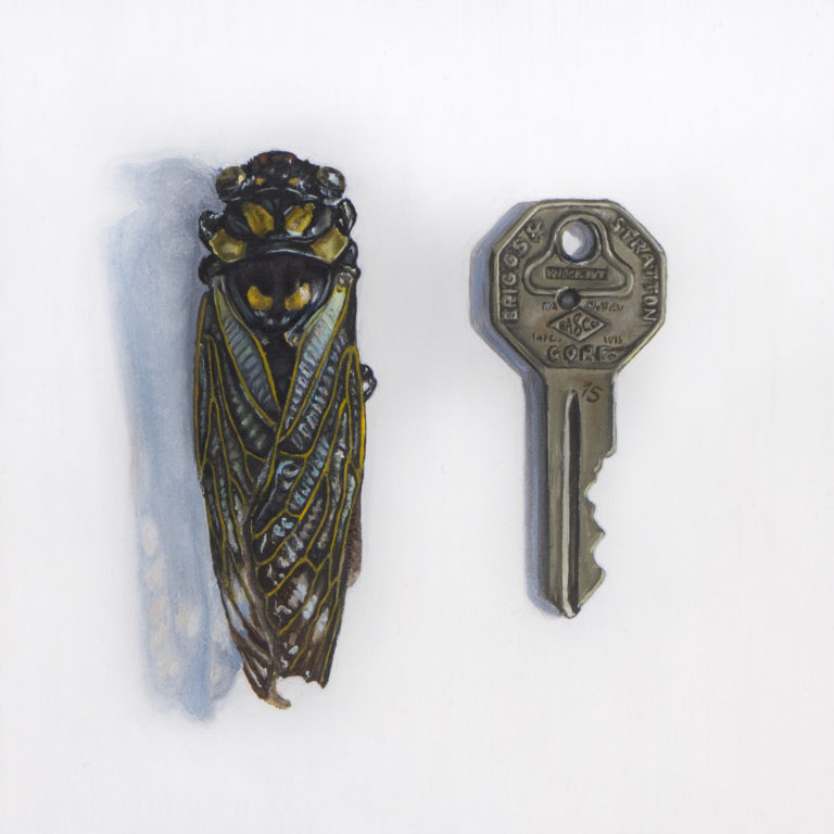The Little Things: Cicada and Key