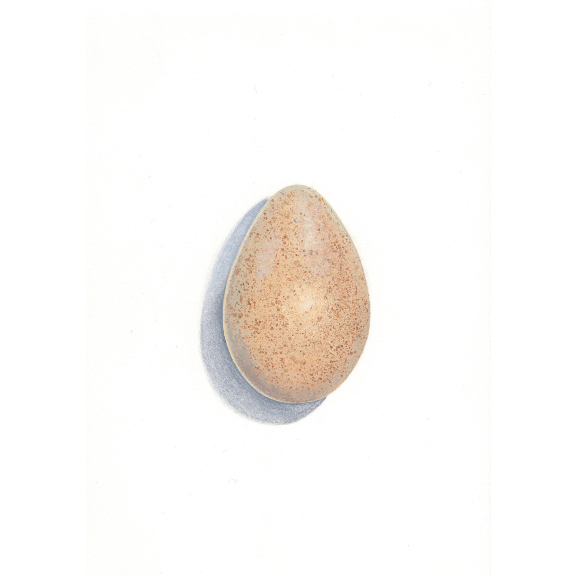 Apophenia: Turkey Egg