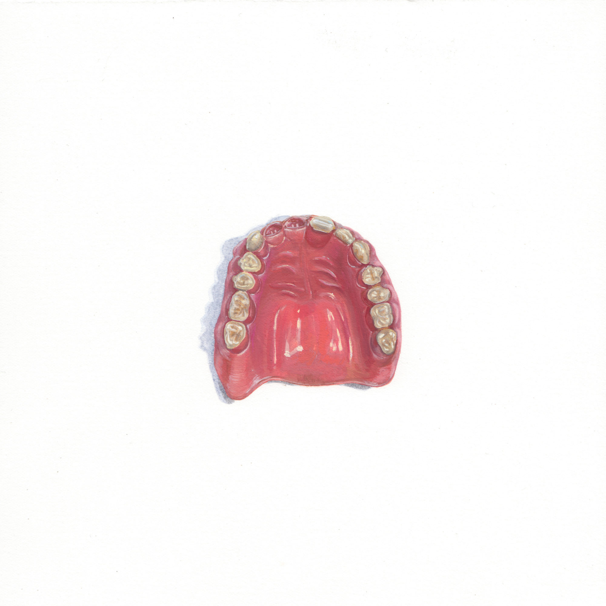 Apophenia: Denture