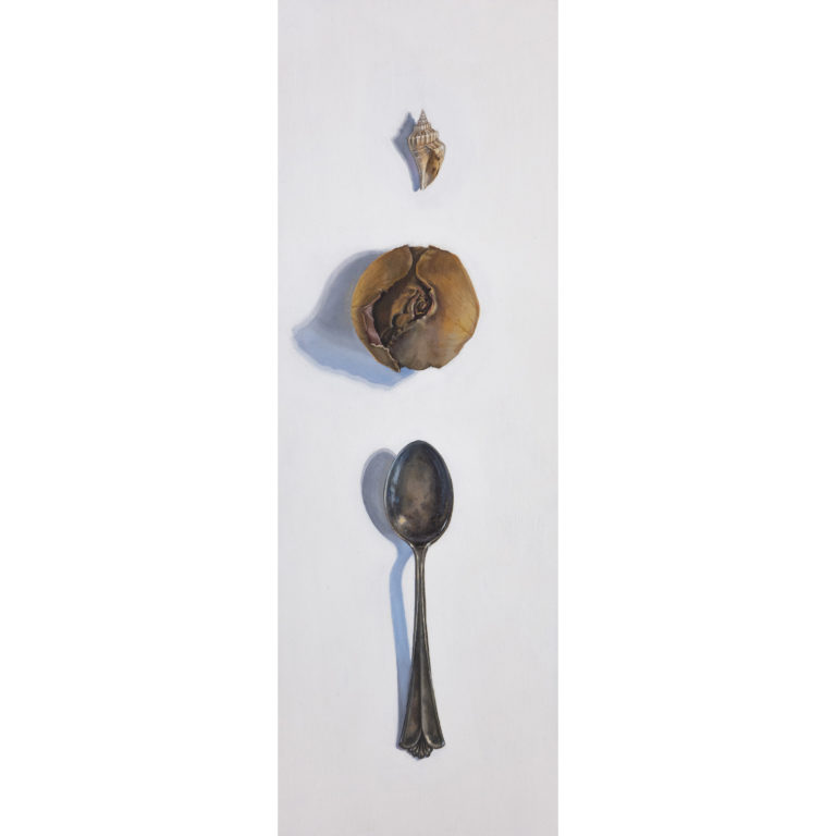 Apophenia: Spoon, Rose, Shell